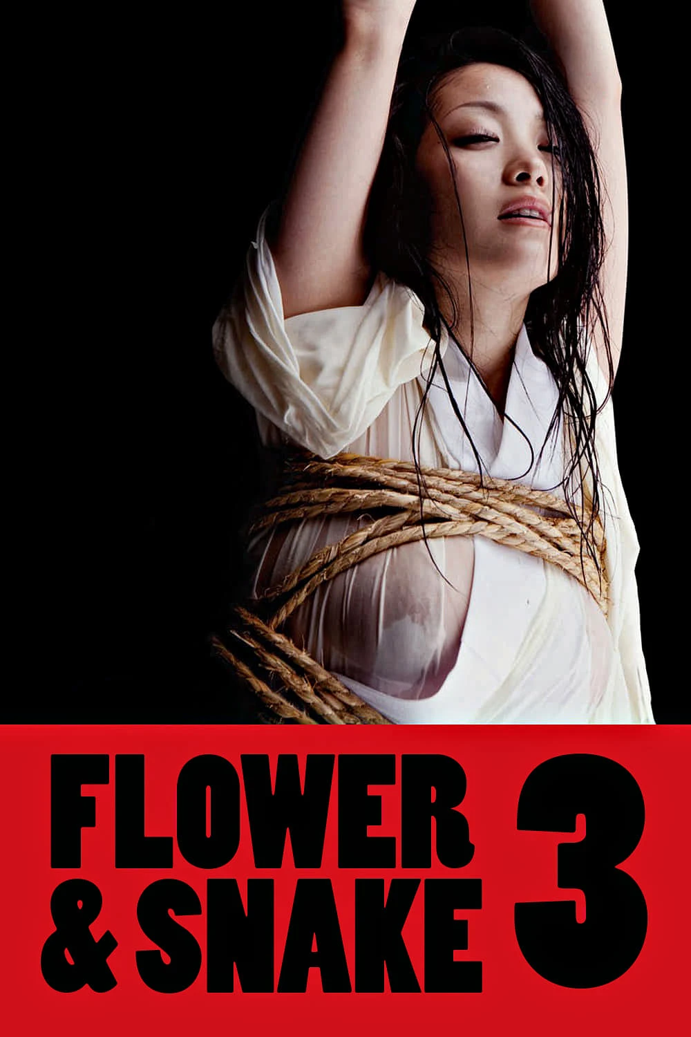 Hoa Và Rắn 3  | Flower & Snake 3 (2010)