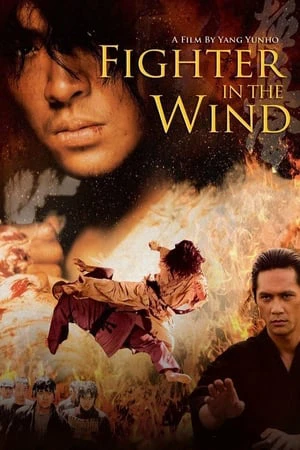 Huyền thoại võ sĩ | Fighter in the Wind (2004)