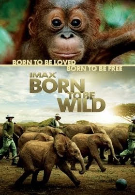 Những Loài Vật Mồ Côi | Born to Be Wild (2011)